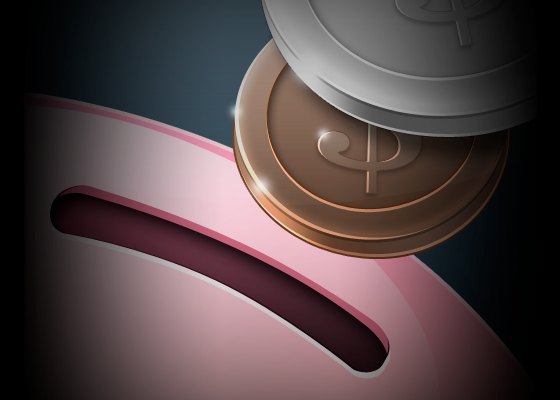 PocketMoney Application Icon